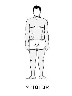 גבר עם מבנה גוף אנדרומורפי